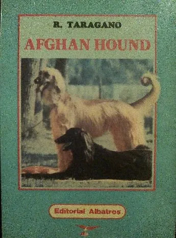 Afghan hound