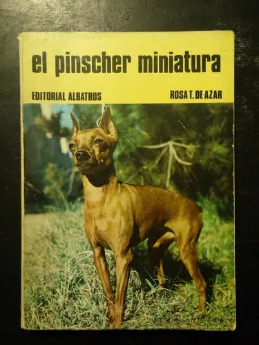 El pinscher en miniatura
