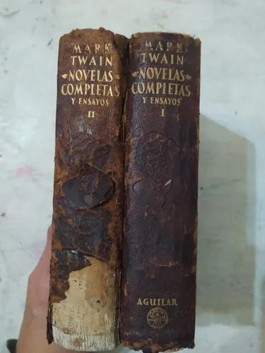 Novelas completas y ensayos