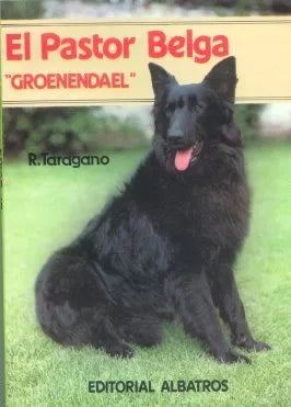 El pastor belga "Groenendael"