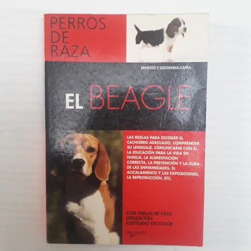 El beagle - Perros de raza