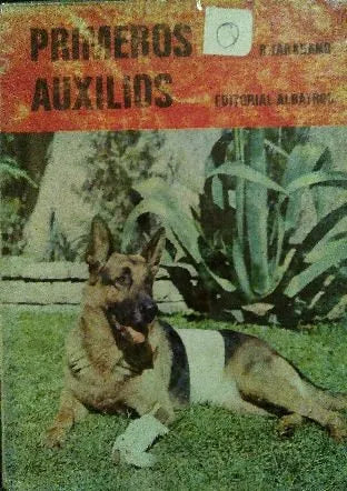 Primeros auxilios