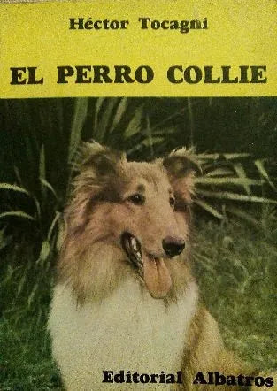El perro collie