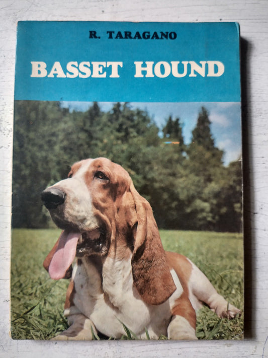 Basset Hound