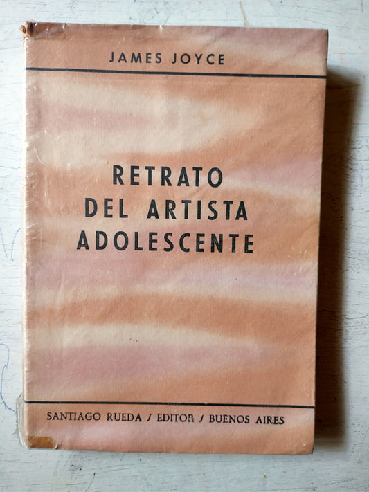 Retrato del artista adolescente