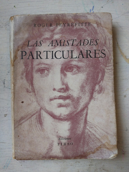 Las amistades particulares