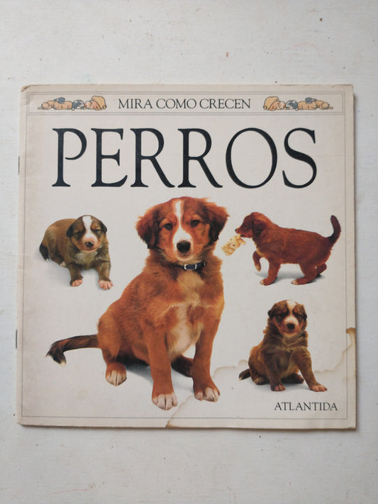 Mira como crecen - Perros